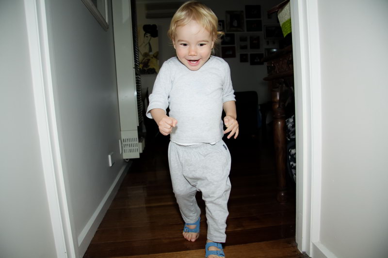 IMG 2845