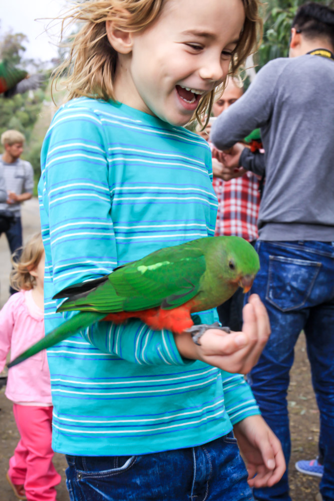 16 04 IMG 1534
