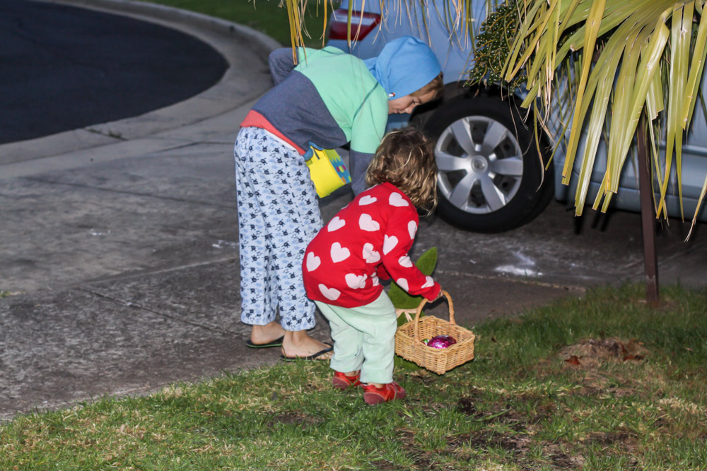 17 04 IMG 8414