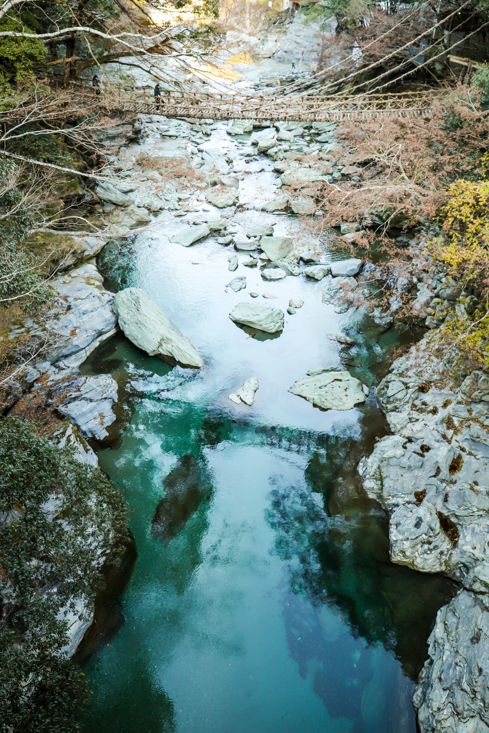 23 12 IMG 5805